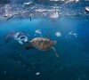日本遭遇微塑料危机